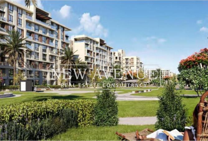 8237527 - Property Image 3