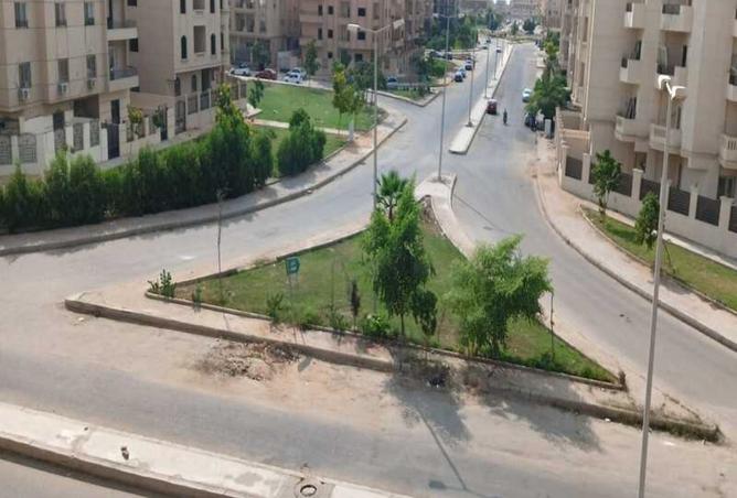 8406771 - Property Image 3