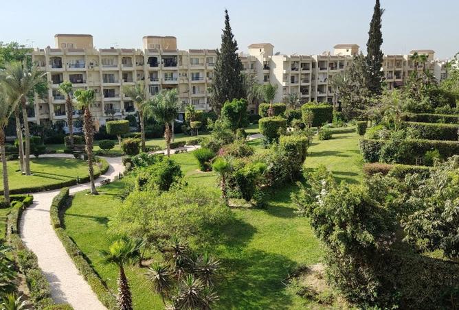 8240878 - صورة العقار 2