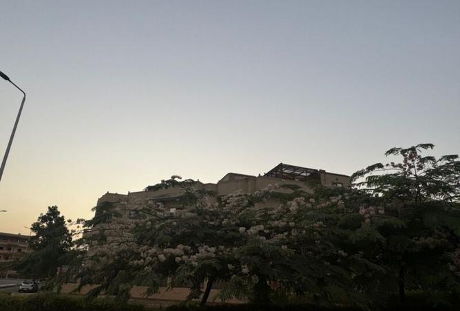 8046767 - صورة العقار 3