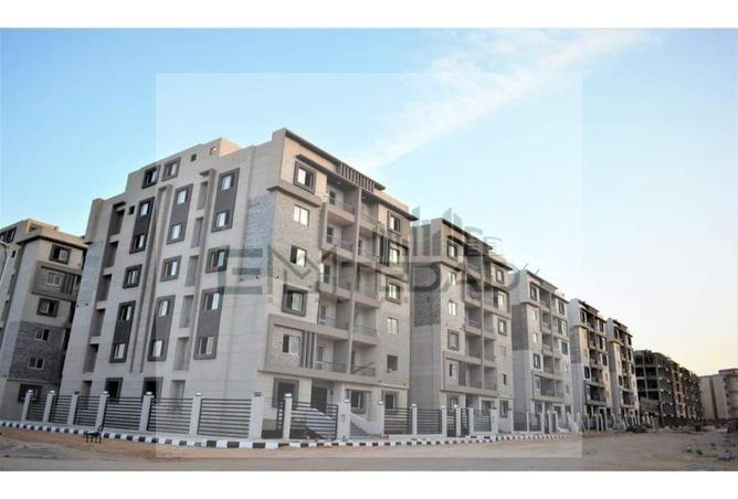 8218226 - Property Image 3