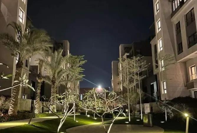 8416321 - Property Image 3