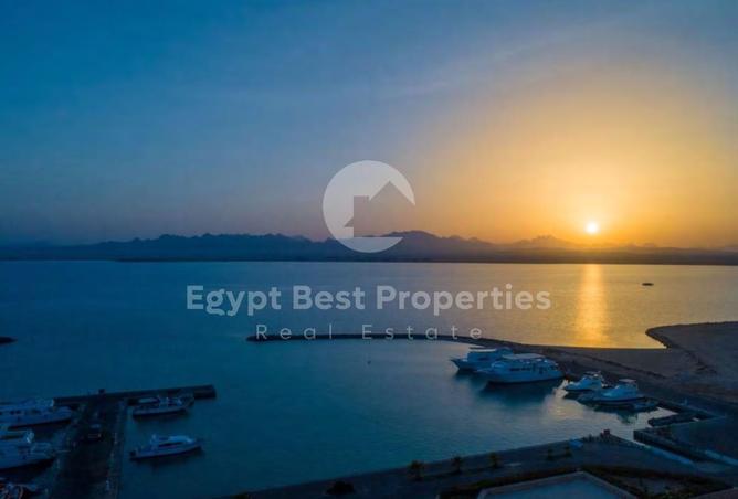 8058190 - Property Image 3