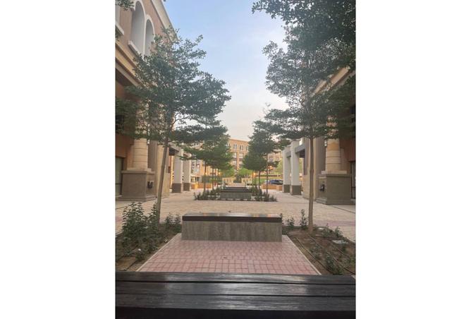 7910860 - صورة العقار 3