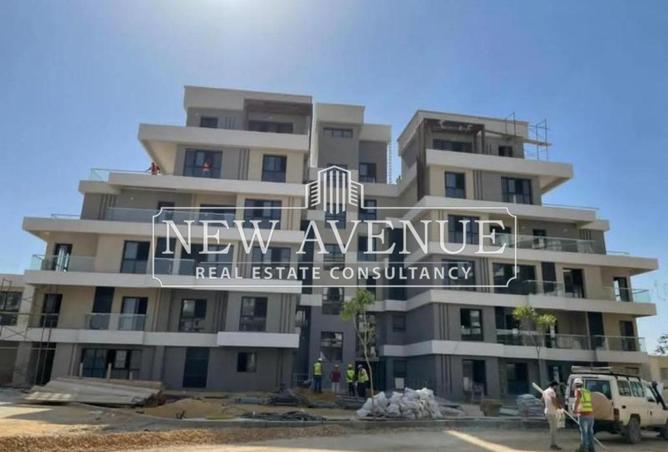 8244137 - Property Image 2