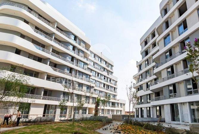 8399984 - Property Image 3