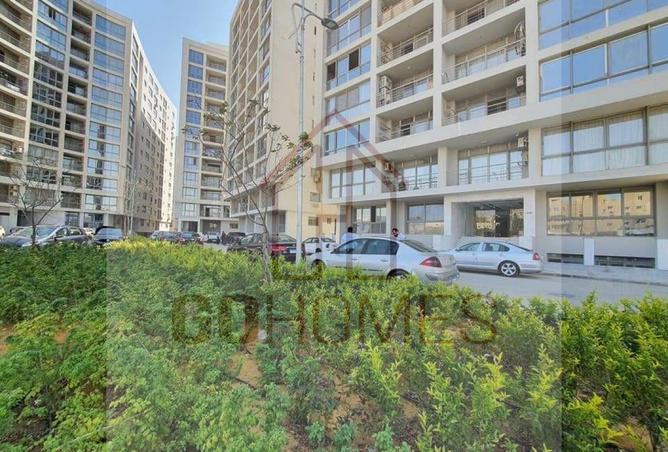 7519587 - Property Image 3