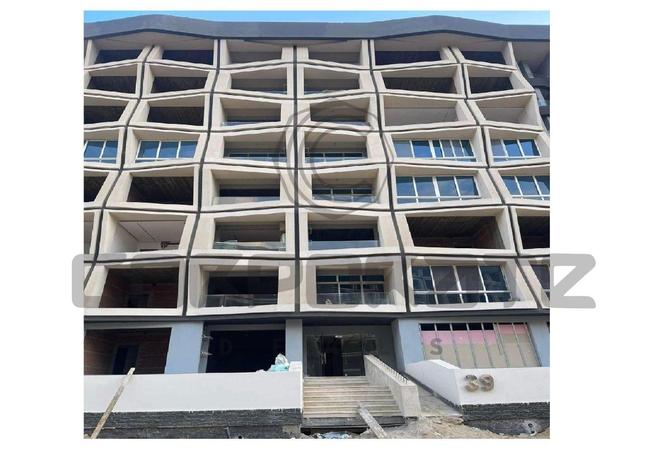 8091268 - Property Image 2
