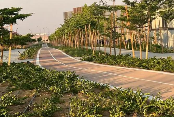 8556054 - صورة العقار 3