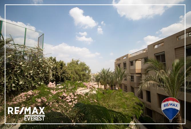 7974696 - Property Image 3