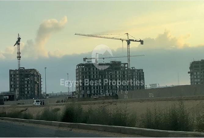 7983326 - Property Image 3