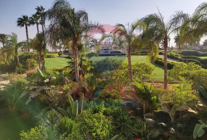 8552018 - Property Image 3