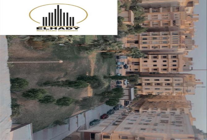 7921274 - صورة العقار 2