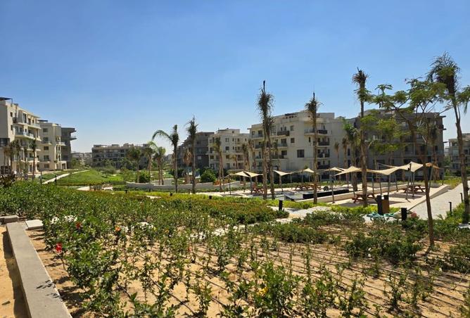 8440512 - Property Image 3