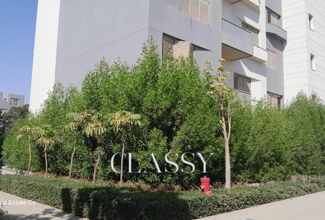 8310196 - صورة العقار 3