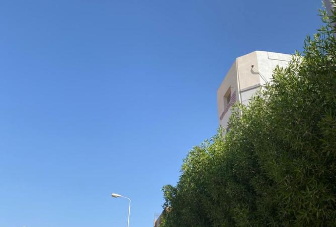 8163072 - صورة العقار 3