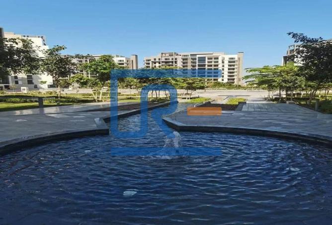 8182876 - صورة العقار 2