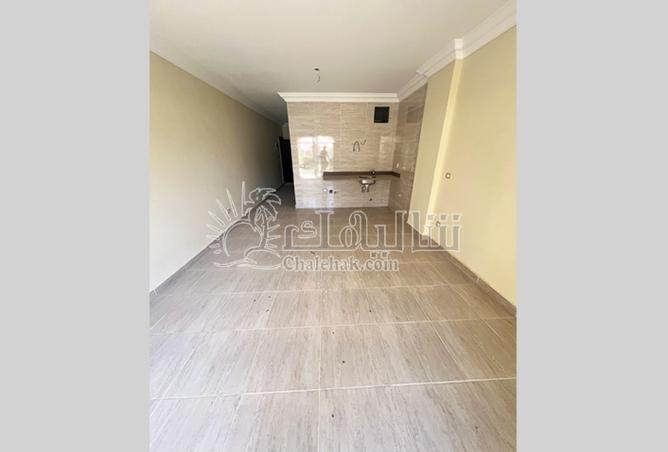 8511824 - Property Image 3