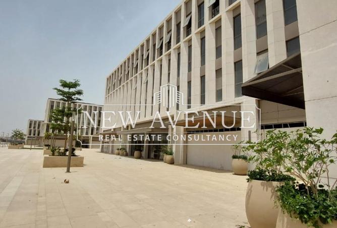 8449409 - Property Image 3