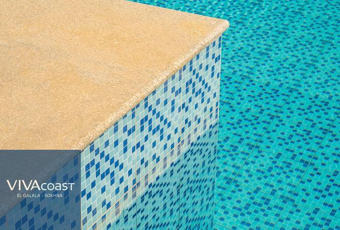 8369152 - Property Image 3