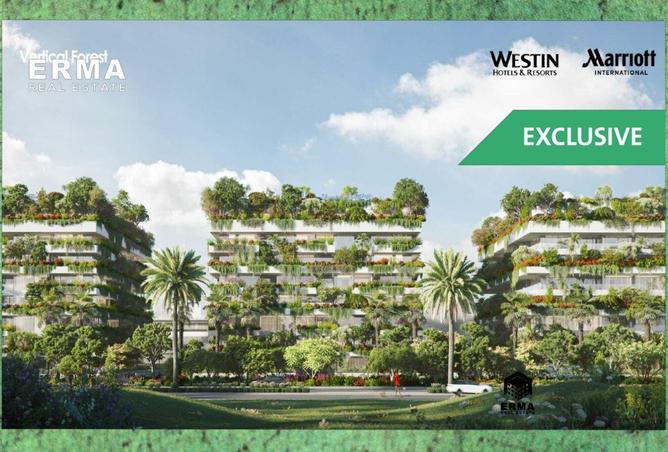 8275184 - الصورة الرئيسية للعقار