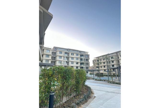 8242597 - صورة العقار 3