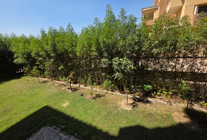 8197016 - صورة العقار 3