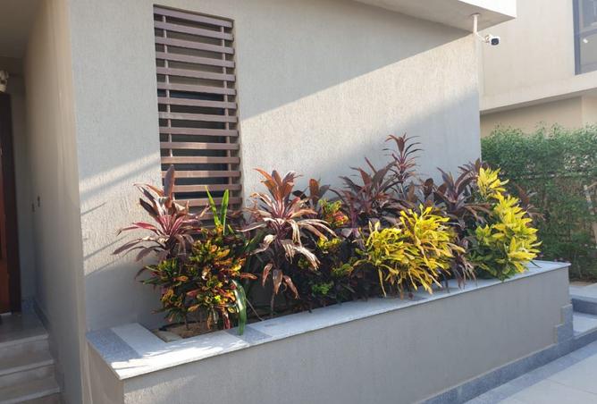 8349359 - Property Image 3