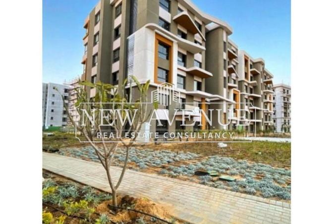 8436538 - Property Image 2