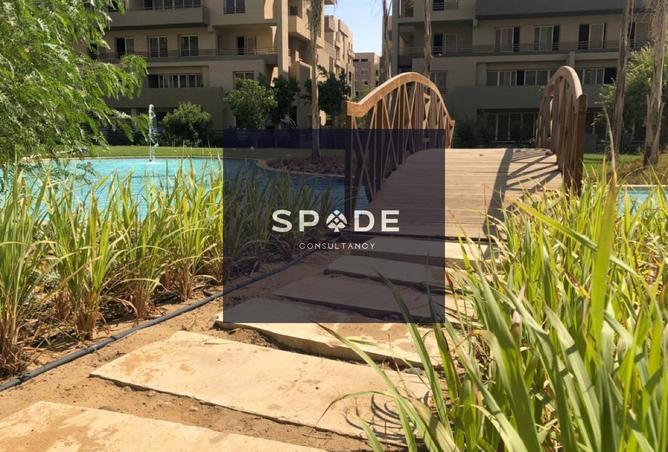 8194086 - Property Image 3