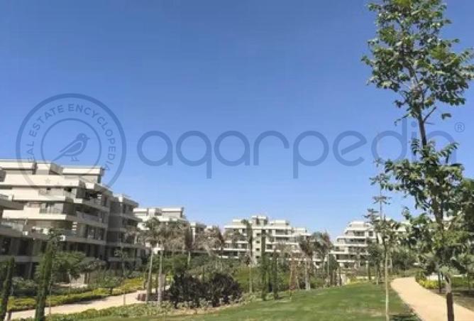 8294078 - Property Image 3