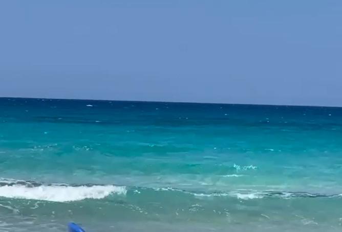 7670036 - صورة العقار 3