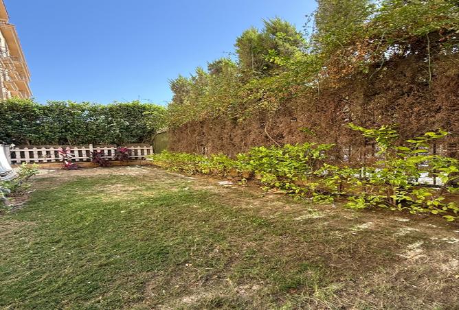 7972215 - Property Image 3