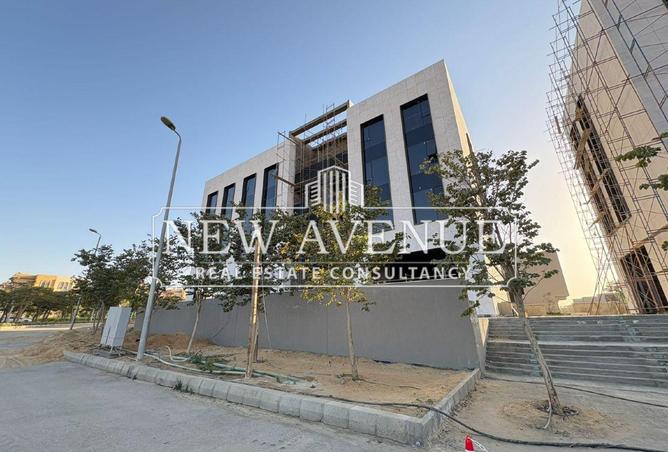 8163855 - Property Image 3