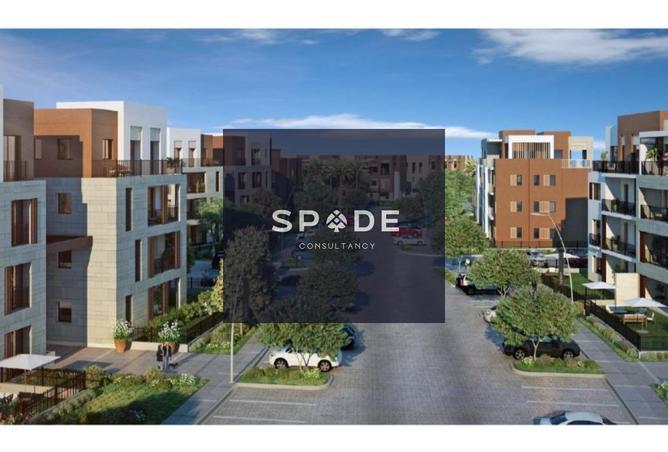 8395578 - Property Image 2