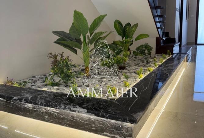 8232417 - صورة العقار 3