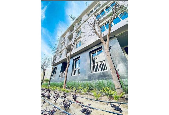 8007480 - صورة العقار 2