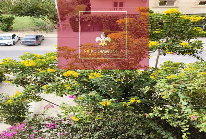 7948917 - صورة العقار 3