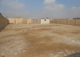 Factory - 8 bathrooms for للبيع in Badr   Robeiki   Al Asher Road - Industrial Area 10th Ramadan - 10th of Ramadan City - Sharqia