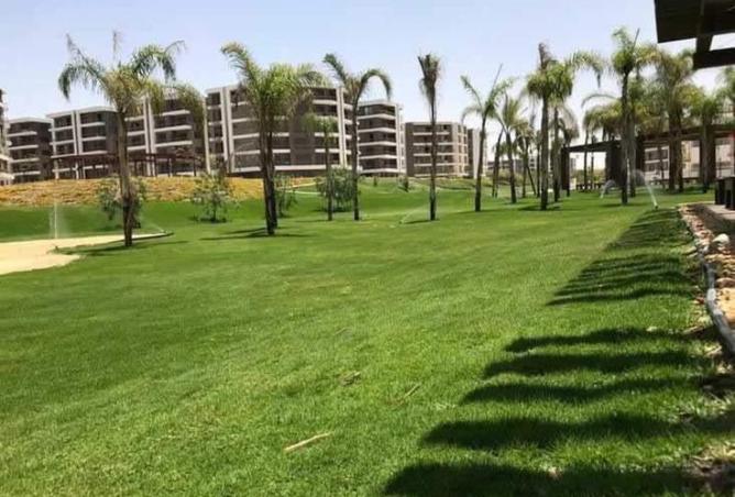 8156564 - صورة العقار 3