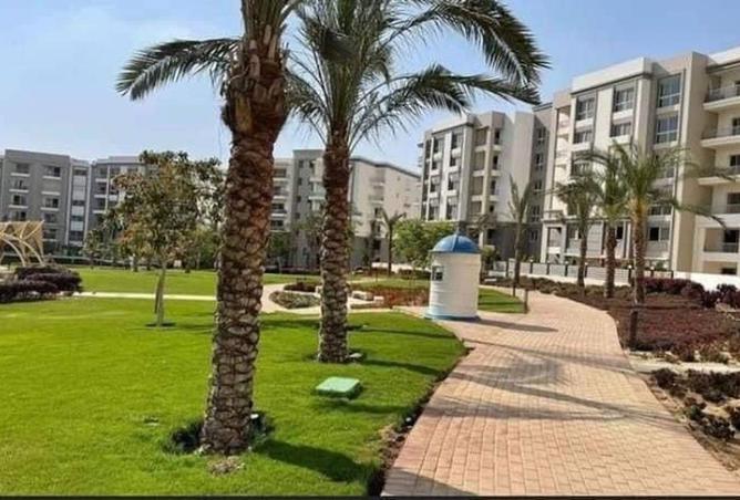 7960627 - صورة العقار 2