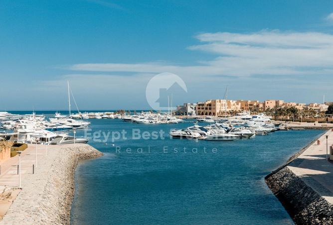 8151672 - صورة العقار 3