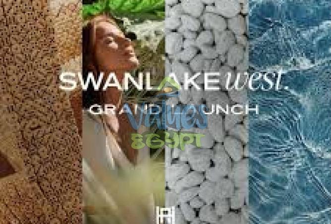 8000544 - صورة العقار 3