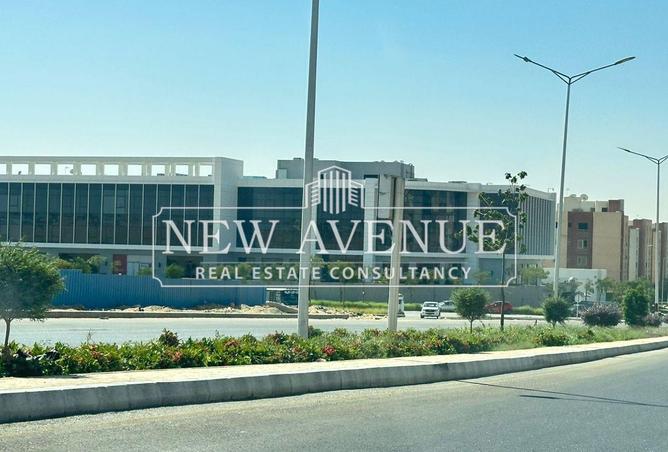 8175771 - صورة العقار 3