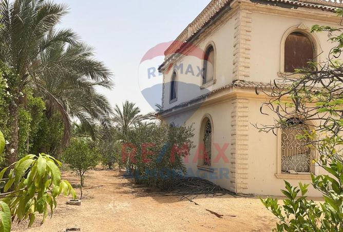 8098483 - صورة العقار 3