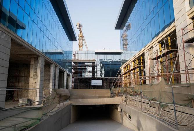 8176005 - صورة العقار 3