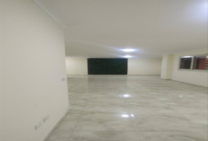 8384795 - Property Image 2