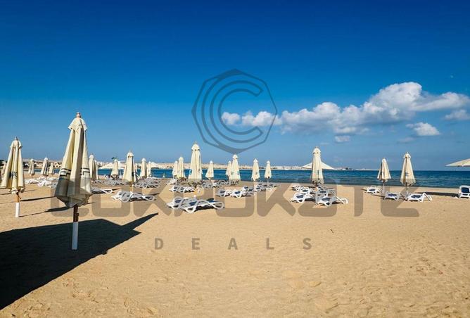 8280074 - صورة العقار 3