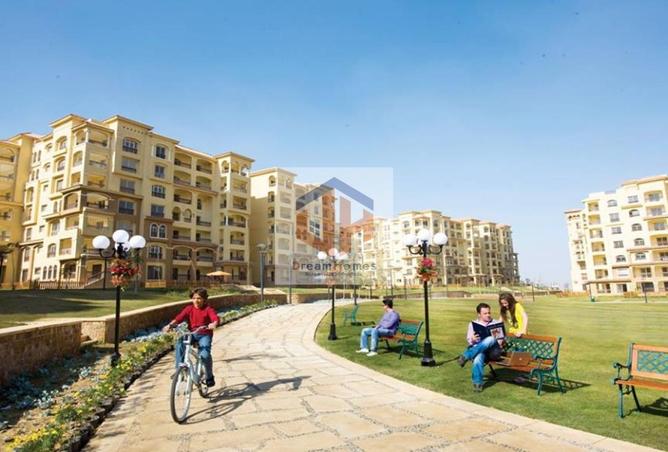 8129062 - Property Image 3