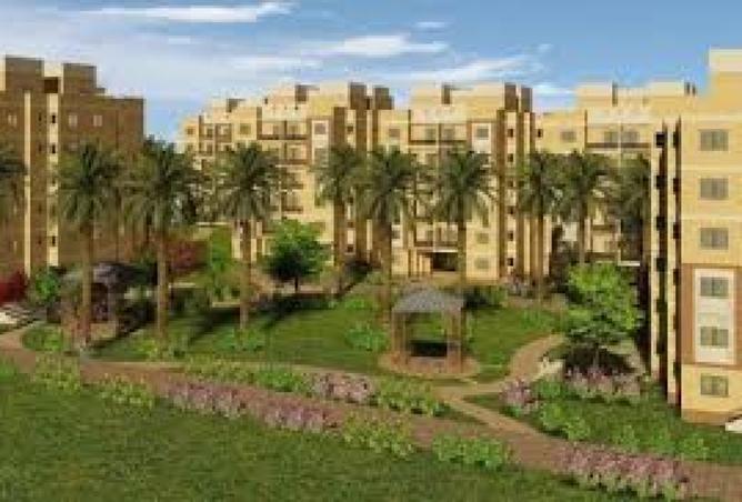 8351276 - Property Image 3